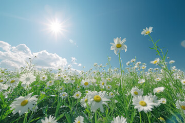 Early spring garden, first blooms, renewal of life. Colorful beautiful fall  amazing dreamy romantic artistic image spring nature flowers magical in sunny garden.