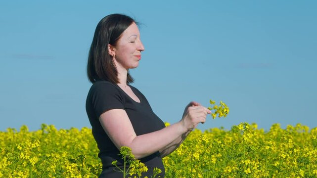 Adult Womans Hand Touches Yellow Rapeseed Flowers. Young Woman Standing In Rapeseed Field And Touching Flowers. Agriculture.