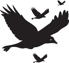Birds silhouette vector design