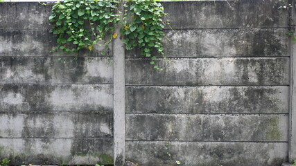 Texture cement wall structure