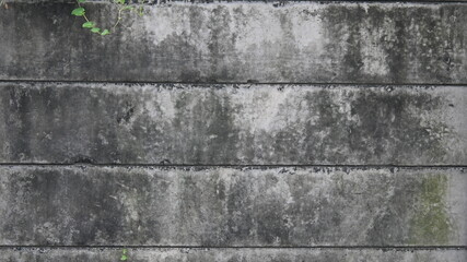 Texture cement wall structure