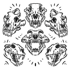 vector sketch of a wild animal's skull