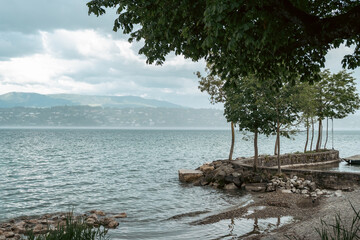 port au bord du lac de Genève avec un couple de cygnes 