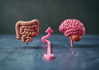 The gut-brain connection concept
