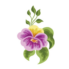 wildflowers decoration stylized bright pink pansies, vector illustration