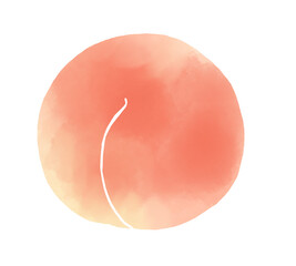 水彩風　桃のイラスト