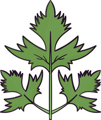 Green Parsley Icon in Flat Style.