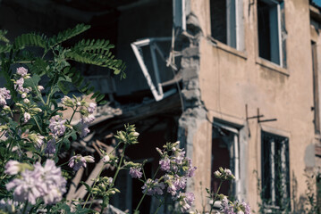 destroyed houses in a city lost in the war in Ukraine