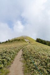 Obraz premium 爽やかな高原をハイキング 富士見台高原