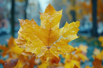 Dried Up Fall Leaves professional photography