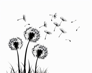 Dandelion flowers flying in the wind, vector illustration on a white background, simple design with simple lines in a flat style, vector art in the style of a simple clip art, using simple shapes with
