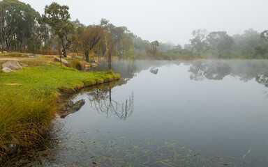 The grassy shoreline of a lake on the Severn River on a cold morning with mist over the water from a temperature inversion and gum trees in the background near Stanthorpe in Queensland, Australia.