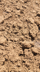 土・団粒構造・畑／Soil/aggregate structure/field／토·단립 구조·밭