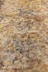 dry ground with cracks after summer