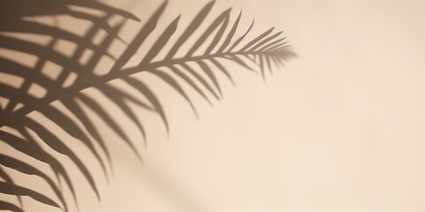 Naklejka premium Palm Leaf Shadow on a Beige Wall