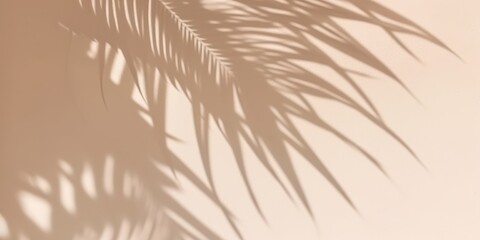 Palm Leaf Shadow on a Beige Wall