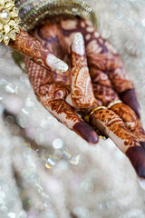 The Indian Bridal Mehndi Design