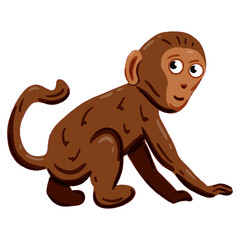 Vector image of a cute colorful Monkey. This illustration showcases the intricate features of an monkey's anatomy. Perfect for educational materials and animal-themed projects. Isolated image.