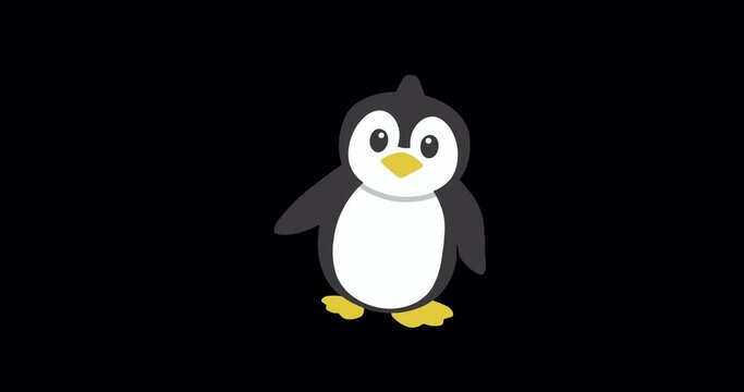 pinguin walk front view animation cycle 4k resolution alpha channel