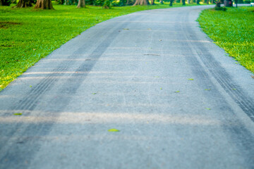 Obraz premium Green park in natural environment