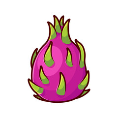 fresh dragon fruit illustration