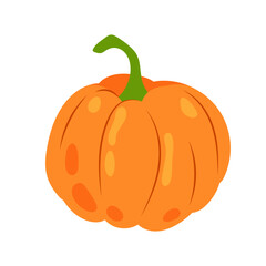 Orange ripe pumpkin in flat style on white background. Healthy food. Ripe vegetable. Illustration of useful vegetable.