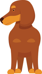 Illustration featuring a brown dachshund standing and looking to the right of the frame