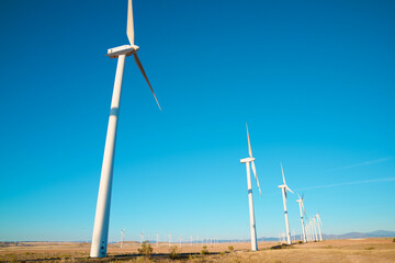 Wind turbine generators for sustainable electricity production