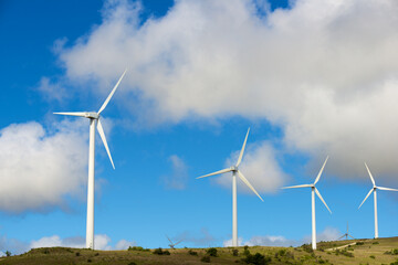 Fototapeta premium Wind turbine generators for sustainable electricity production