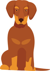 Illustration of a brown hunting dog sitting obediently, isolated on a white background