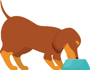 Brown dachshund dog is happily eating food from its blue bowl