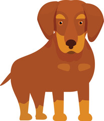 Cartoon illustration of a brown dachshund dog standing and looking forward