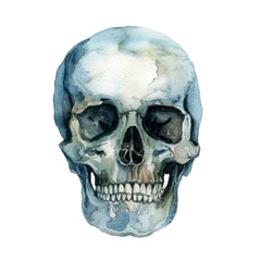 Obraz premium Skull watercolor illustration isolated on transparent. Halloween png file for art work. 