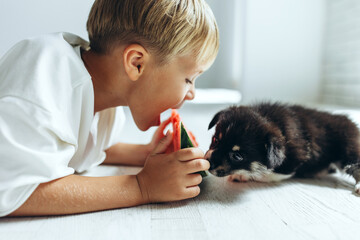 Child with dog at home