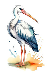 Hand-painted watercolor stork. Artistic image of animals and birds for design of zoological books, articles, postcard design and other printed publications