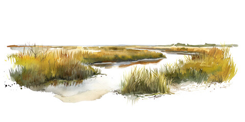 Salt marsh watercolor illustration isolated on transparent.  png file for art work.
 