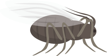 Aphid insect with wings spreading virus to plants in the garden