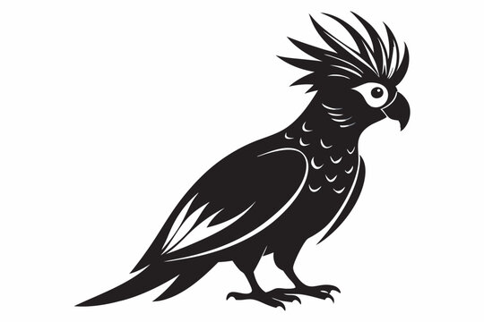 recommend clip art: Cockatoo black and white icon 
