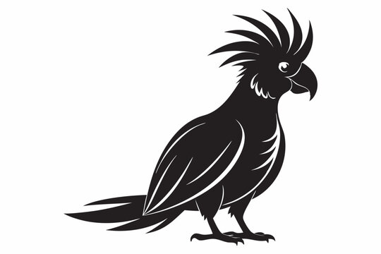 recommend clip art: Cockatoo black and white vector background