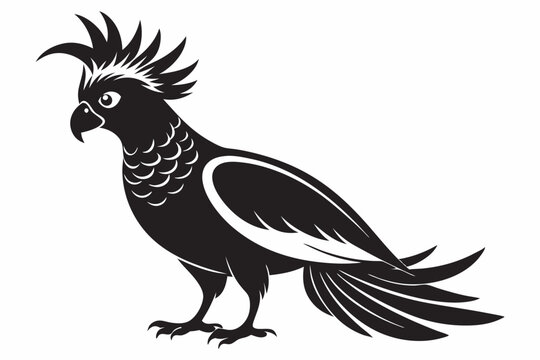 recommend clip art: cockatoo silhouette isolated on white