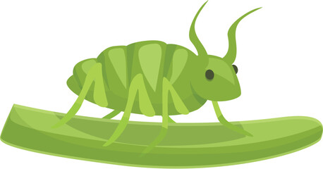 Green aphid with six legs and two antennae walking on a green stem