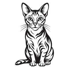 Obraz premium Abyssinian Cat Image vector isolated on white background