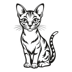 Abyssinian Cat Image vector isolated on white background