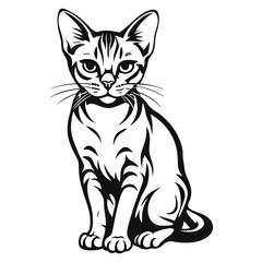 Obraz premium Abyssinian Cat Image vector isolated on white background