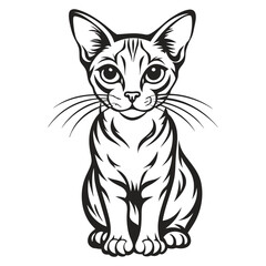 Abyssinian Cat Image vector isolated on white background