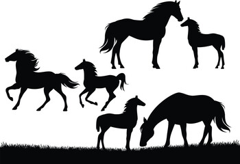 horse family black and white vector silhouette set - baby foal and his mare mother standing, running and grazing