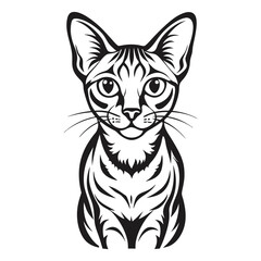 Abyssinian Cat Image vector isolated on white background