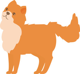 Ginger cat with a fluffy tail is standing and looking up curiously