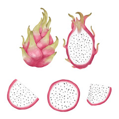 Clip art dragon fruits, pitaya elements. Hand drawn icon illustration in watercolor style for summer romantic clipart, sticker design, tropical fruit art