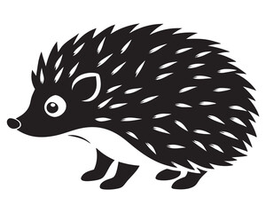 hedgehog white background